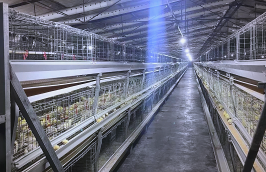 微信圖片_20251010100742_502_32